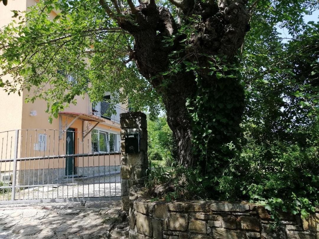 Murva Koper Exteriér fotografie